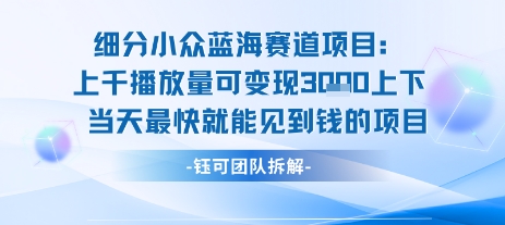小众蓝海赛道项目：当天变现1k+适合新手操作 +适合长期玩-凌秋网创