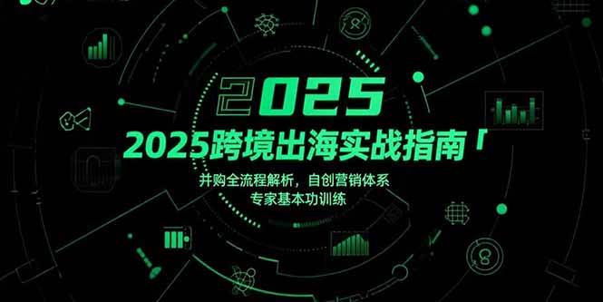 （15503期）2025跨境出海实战指南，并购全流程解析，自创营销体系，专家基本功训练-凌秋网创
