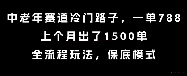中老年赛道冷门路子，一单788，上个月出了1500单，全流程玩法，保底模式【揭秘】-凌秋网创