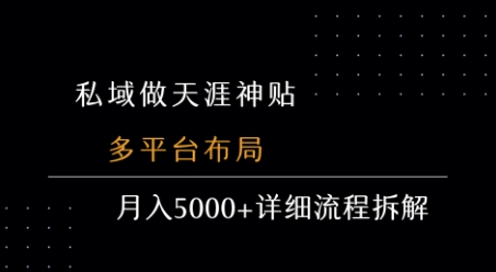 私域做天涯神贴 多平台布局 月入5k+详细流程拆解-凌秋网创