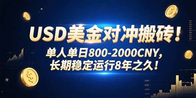 （15551期）USD美金对冲搬砖!单人单日800-2000CNY，长期稳定运行8年之久!-凌秋网创