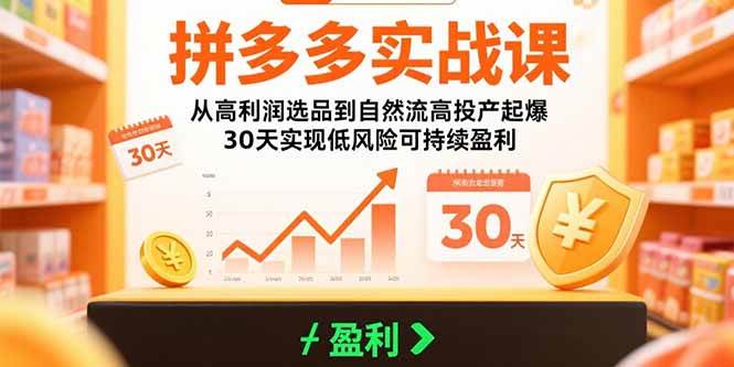 （15586期）拼多多实战课：从高利润选品到自然流高投产起爆 30天实现低风险可持续盈利-凌秋网创