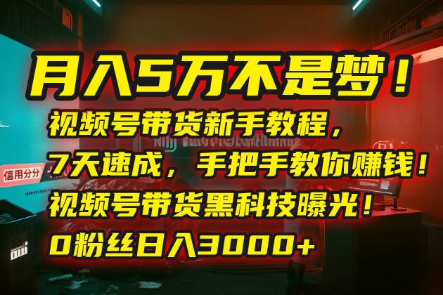 （15595期）月入5万不是梦！视频号带货新手教程，7天速成，手把手教你赚钱！视频号…-凌秋网创