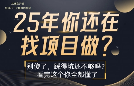 25年，你还在疯狂的找项目吗？别傻了，看完这个你都懂了【揭秘】-凌秋网创
