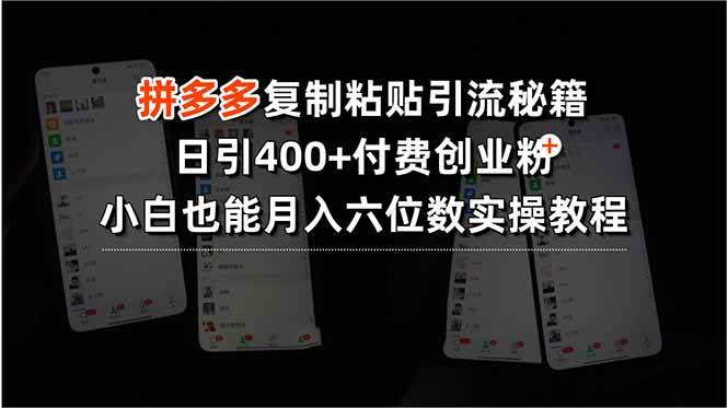 （15613期）拼多多复制粘贴引流秘籍，日引400+付费创业粉，小白也能月入六位数实操…-凌秋网创