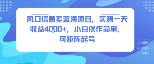 风口信息差蓝海项目，实测一天收益4k+，小白操作简单，可矩阵起号-凌秋网创