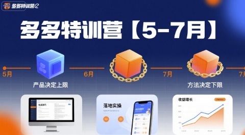 多多特训营【5-7月】产品决定上限，方法决定下限，各种玩法技巧落地实操-凌秋网创
